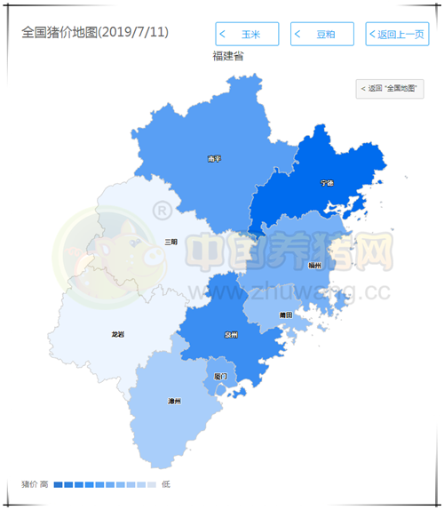 中國養豬網