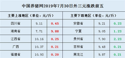 中國養豬網